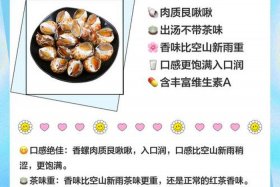海螺电商平台介绍 - 海螺电商平台介绍怎么写