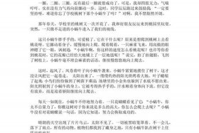 梦响电商成功案例 电商梦想作文