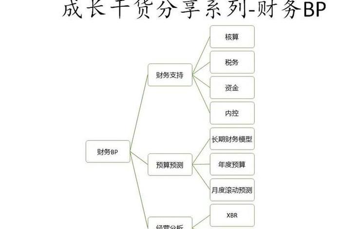 电商财务bp是什么意思（电商财务bp是什么意思啊）