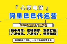 电商代运营加盟 - 电商代运营加盟费多少
