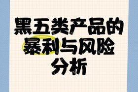 跨境电商黑五类产品有哪些（跨境电商黑五类产品有哪些类型）