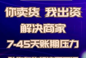 电商垫资前十、电商资金
