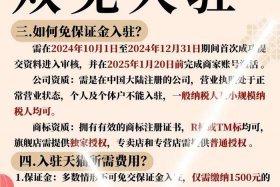 电商入驻代理、电商入驻代办