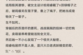 商店小说，猛宠商店小说