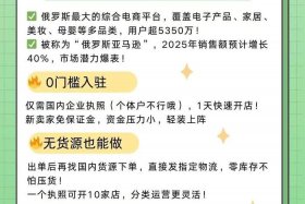 俄罗斯ozon电商平台介绍（俄罗斯电商平台ozon中文）