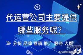 代运营电商是什么意思 - 代运营电商是什么意思啊