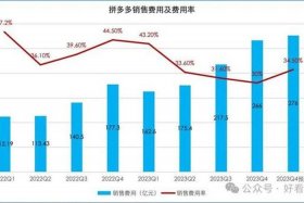 电商平台软件投资费用 - 电商平台软件投资费用占比