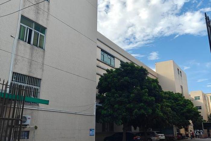 飞凡电商公司(飞凡电商公司地址) 飞凡电商公司(飞凡电商公司地址)