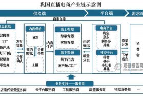 商家电商 - 商家电商平台和主播的责任划分
