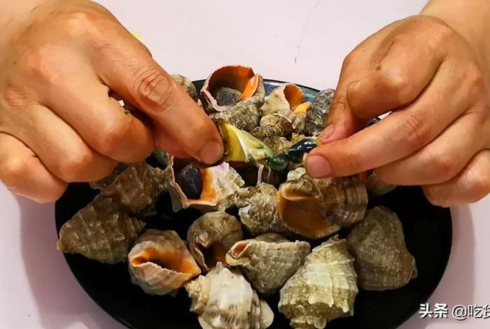 海螺电商平台怎么在电脑上登录;海螺电商平台怎么在电脑上登录不了 海螺电商平台怎么在电脑上登录;海螺电商平台怎么在电脑上登录不了