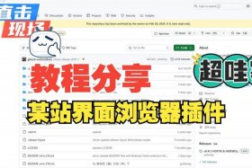 电商记插件官网，电商记插件电脑上怎么下载