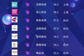 中国十大电商平台占有率排名（中国十大电商平台占有率排名榜）