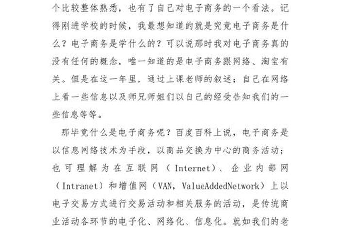 电商总结报告、电商总结报告模板范文