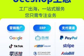 外贸电商平台有哪些付费推广功能、外贸电商平台有哪些付费推广功能呢