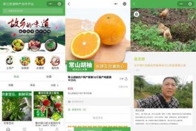 农村果蔬电商怎么做 农村果蔬电商怎么做赚钱