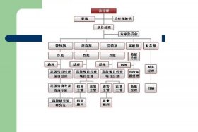 商管主要管什么（商管主要管什么工作）