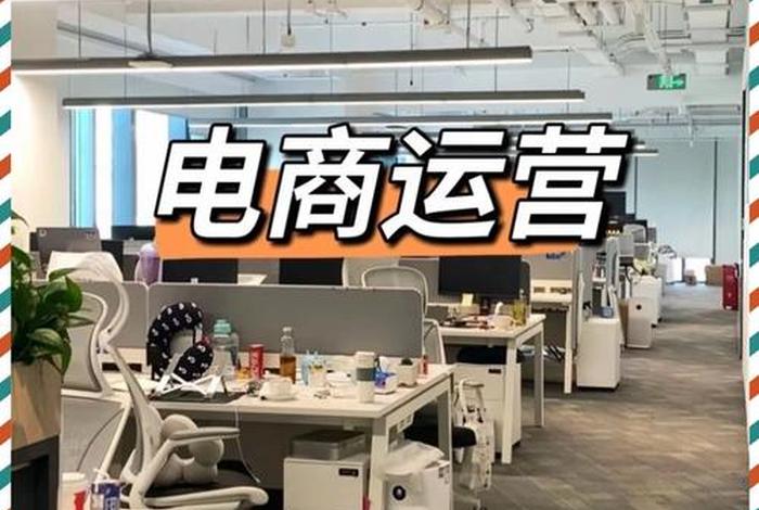 电商运营有限公司 电商运营有限公司是干嘛的 电商运营有限公司 电商运营有限公司是干嘛的