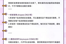 电商shopee虾皮自学视频（新手做虾皮shopee,如何快速出单？）