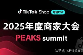 tiktokshop跨境电商官网主页 在tiktok可以挂的跨境电商平台有哪些