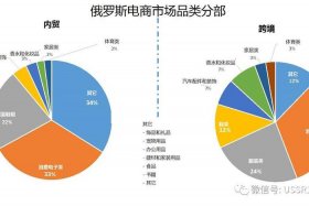 俄罗斯电商发展现状（俄罗斯电商发展现状调查）