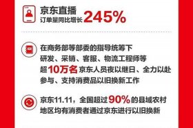 电商双十一销售额排名；电商双十一销售额排名榜