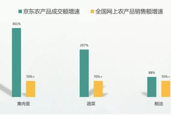 电商平台与乡村扶贫 - 农村扶贫电商平台的结论