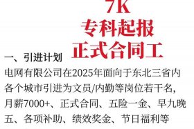 国家电网电商平台合作、国家电网电商平台合作方案