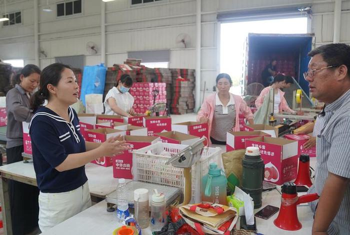 唐河县综合电商物流园、唐河县综合电商物流园在哪 唐河县综合电商物流园、唐河县综合电商物流园在哪