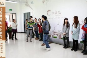 小笨鸟跨境电商怎么样、小笨鸟跨境电商怎么样可靠吗