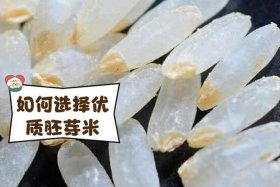 米米电商是真是假，米米商城客服电话是多少