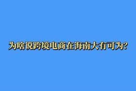 海南做跨境电商好吗，海南做跨境电商好吗知乎