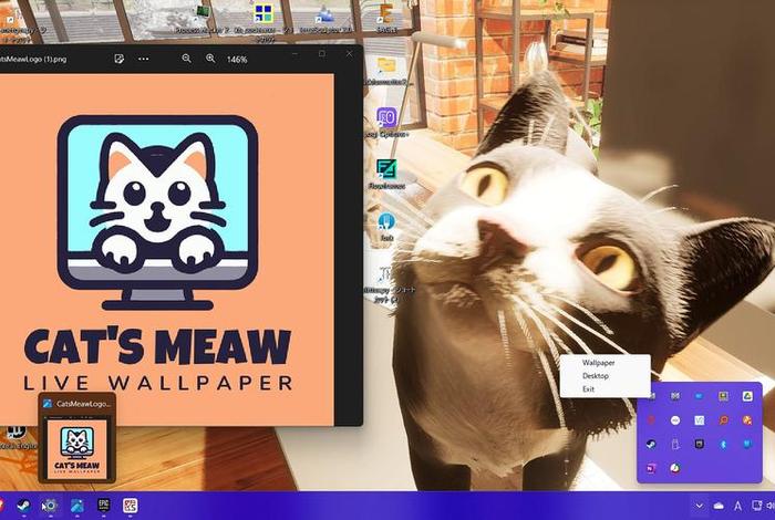 商店猫加速器(迅猫加速器下载) 商店猫加速器(迅猫加速器下载)