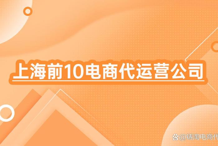 上海电商运营公司、上海电商运营公司排行榜 上海电商运营公司、上海电商运营公司排行榜