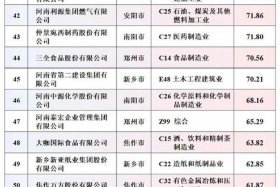 河南电商公司排行榜（河南电商公司排行榜最新）