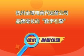 杭州最好的电商运营公司，杭州最好的电商运营公司是哪家