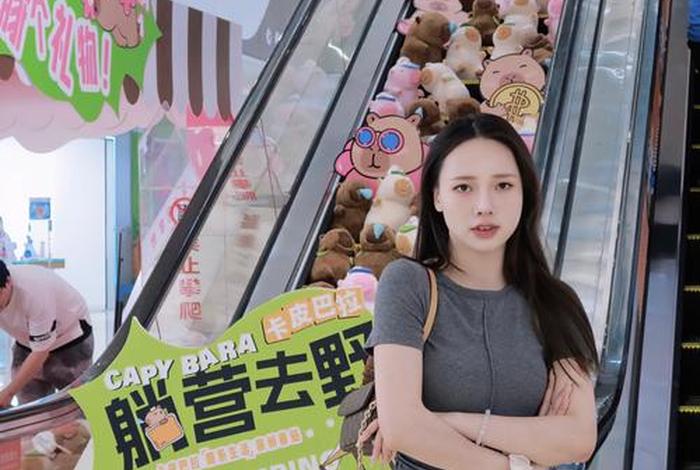 电商达人毛豆姐、毛豆电子商务有限公司 电商达人毛豆姐、毛豆电子商务有限公司