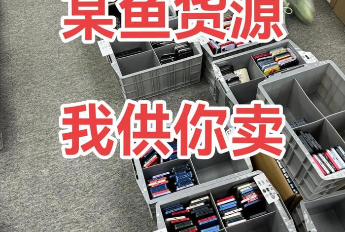 电商闲鱼卖什么最好卖;电商闲鱼卖什么最好卖呢 电商闲鱼卖什么最好卖;电商闲鱼卖什么最好卖呢