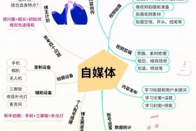 做自媒体怎么做电商（做自媒体怎么做电商赚钱）