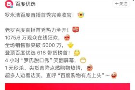 电商哥是什么意思，啥叫电商了,是干什么了？