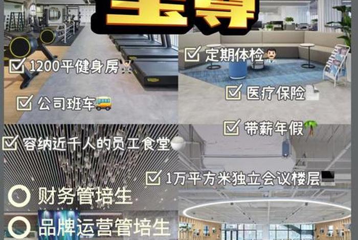 宝尊电商是什么概念、宝尊电商是什么概念公司 宝尊电商是什么概念、宝尊电商是什么概念公司