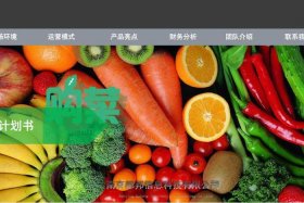 生鲜电商商业计划书，生鲜电商商业计划书ppt