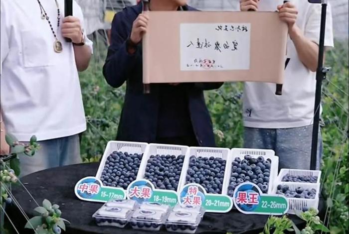 凯诘电商怎么样 凯诘电商怎么样可靠吗 凯诘电商怎么样 凯诘电商怎么样可靠吗