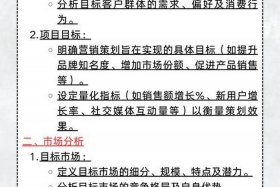 跨境电商营销推广案例；跨境电商营销推广方案模板