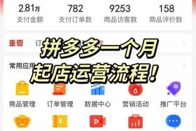 拼多多电商运营入门基础知识视频汇总、拼多多电商运营入门基础知识视频汇总