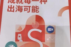 东南亚电商平台虾皮（东南亚电商平台虾皮app 在哪下载）