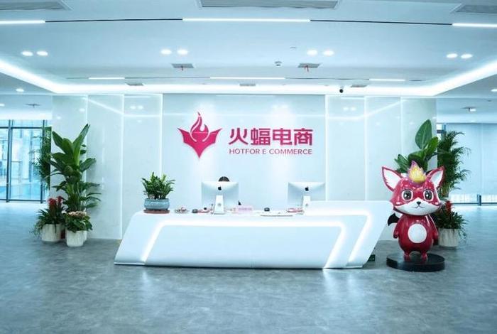 火蝠电商代运营官方旗舰店、火蝠代运营公司怎么样
