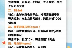 跨境电商平台免费安装 跨境电商平台免费安装有哪些