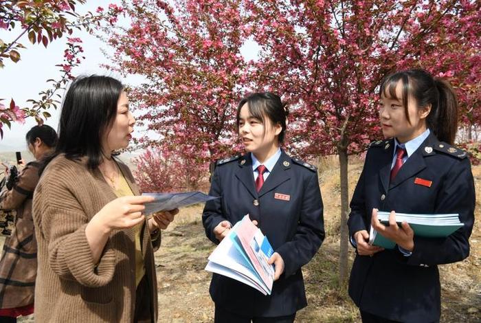 赏花电子税务局 赏花电子税务局