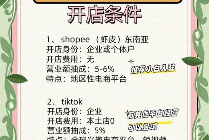 跨境电商个人开店需要什么条件；跨境电商个人开店需要什么条件呢
