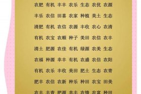 农业电商公司起名 农业电商公司起名大全